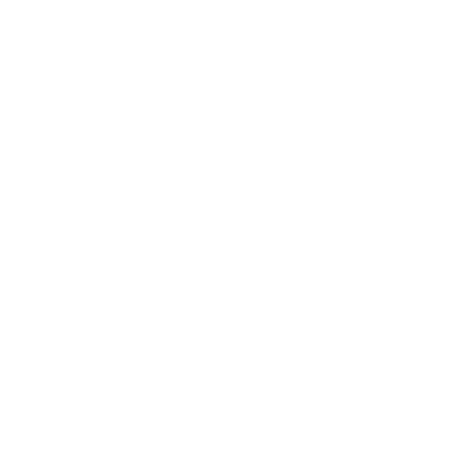 Al-Raiya Group Logo